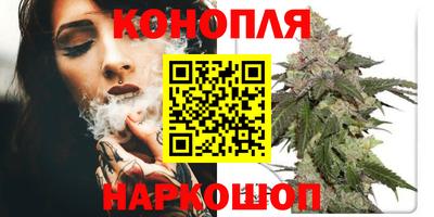 бошки Изобильный