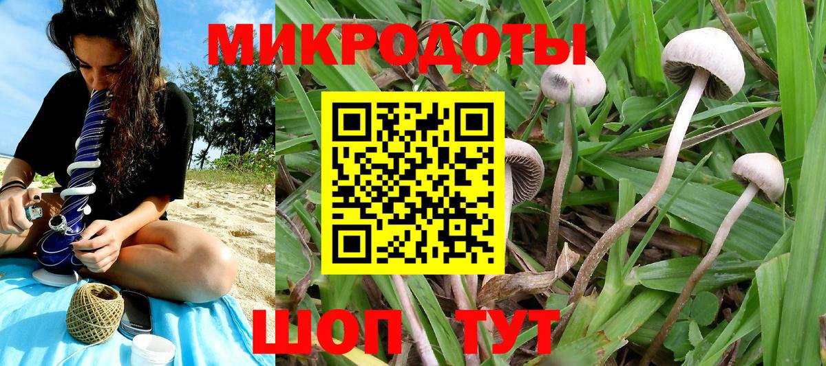 Галлюциногенные грибы Cubensis  Вход с VPN  Кушва 
