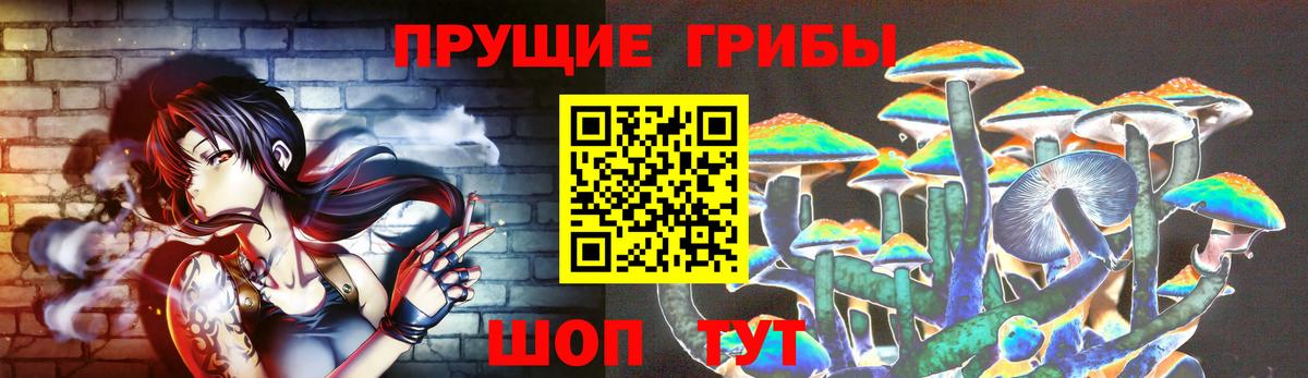 Галлюциногенные грибы Psilocybe Кушва